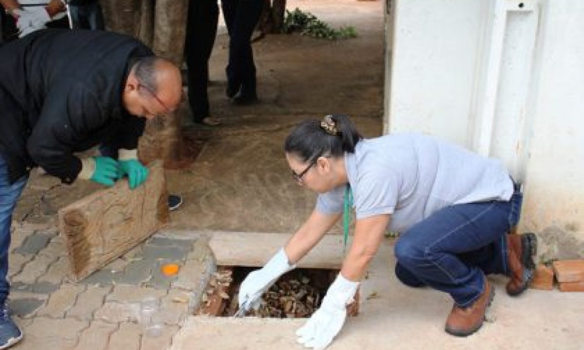 60912-img-0305-420x280_c