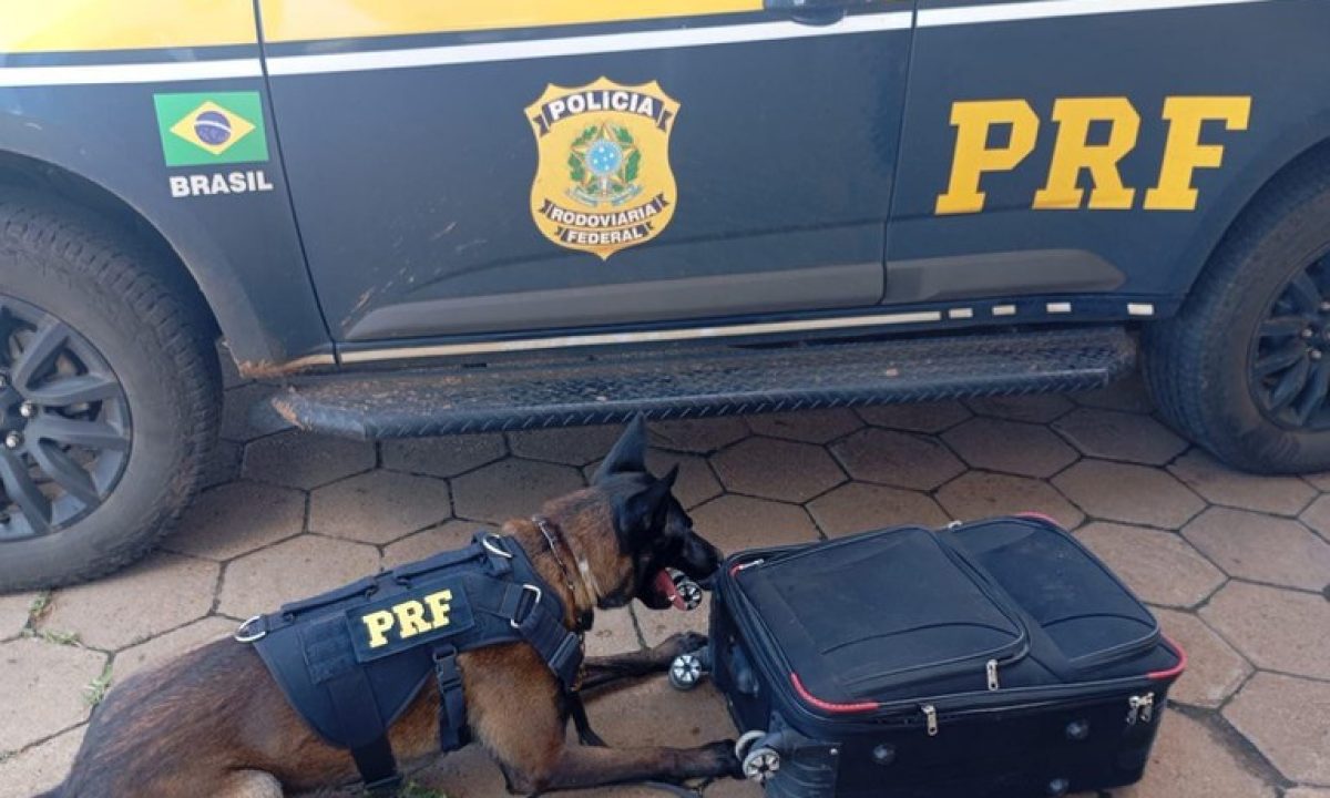 6617c0a1-10f4-4a60-bcbf-55978647d995