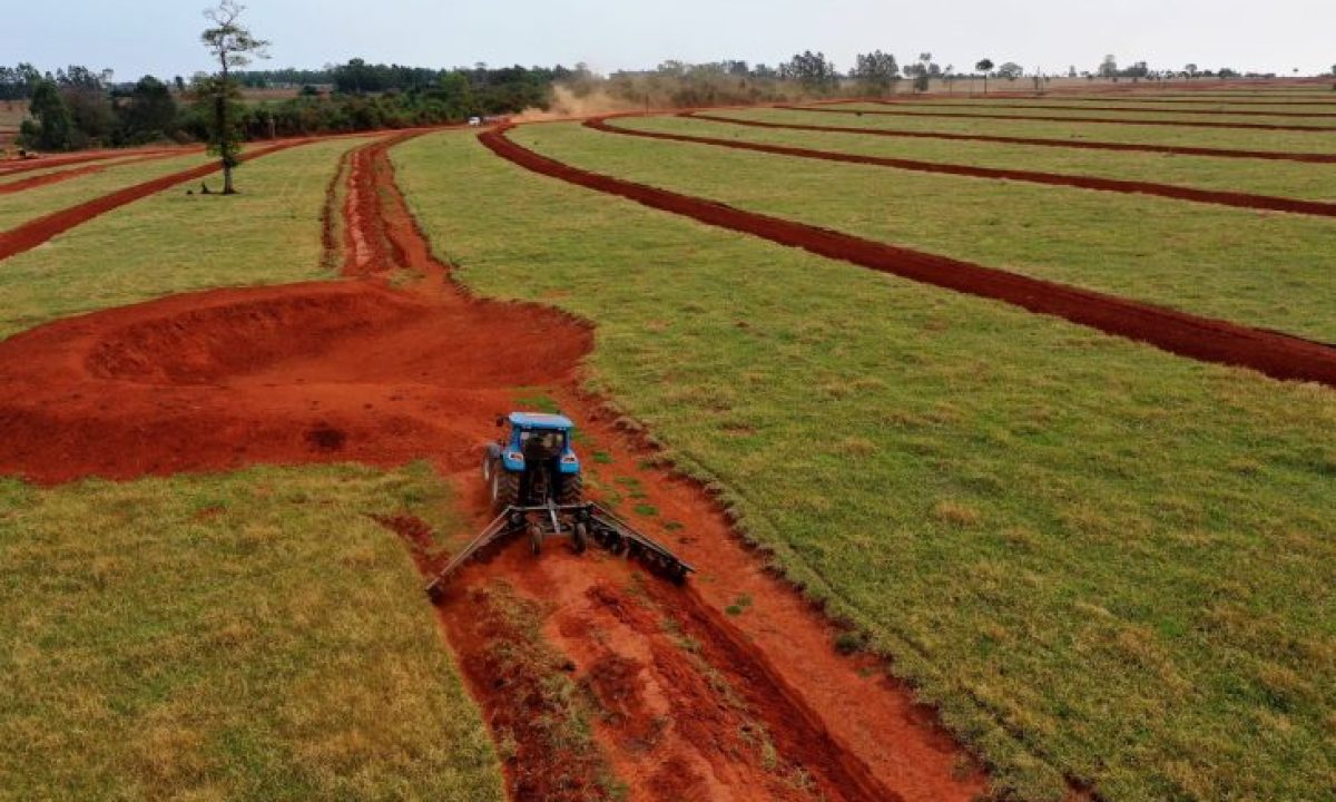 68771D54-86A6-4BBA-956D-7E77B5678BD2