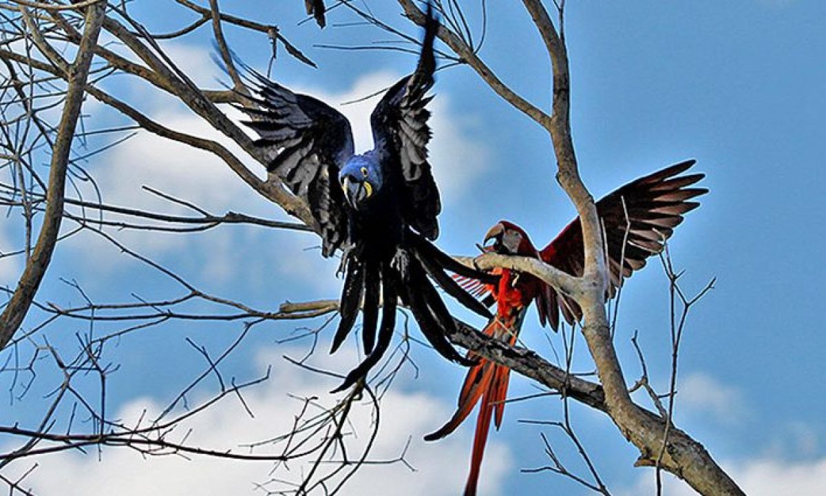 689A777D-1F51-4B4A-AA8C-54002FB27EC7