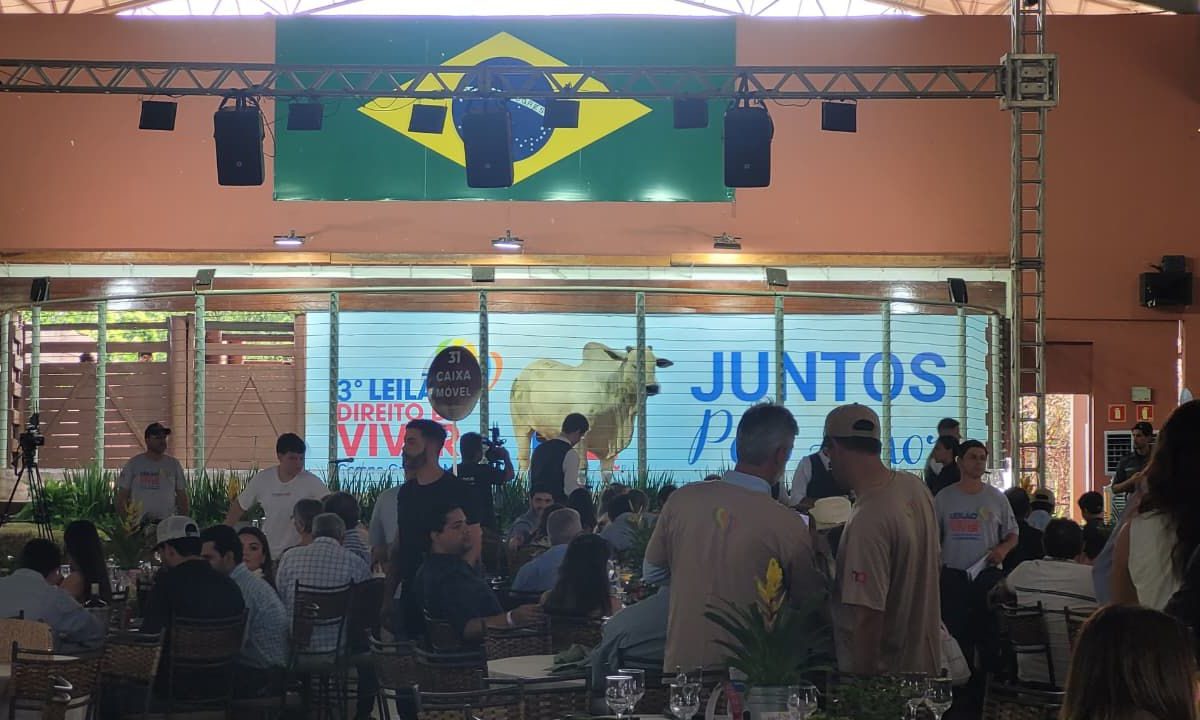 6b57d3c7-8be2-4186-883d-eded047af5cd