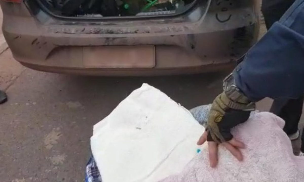 71bb9562-27f7-46a8-bdb3-ff2e920fa0f3