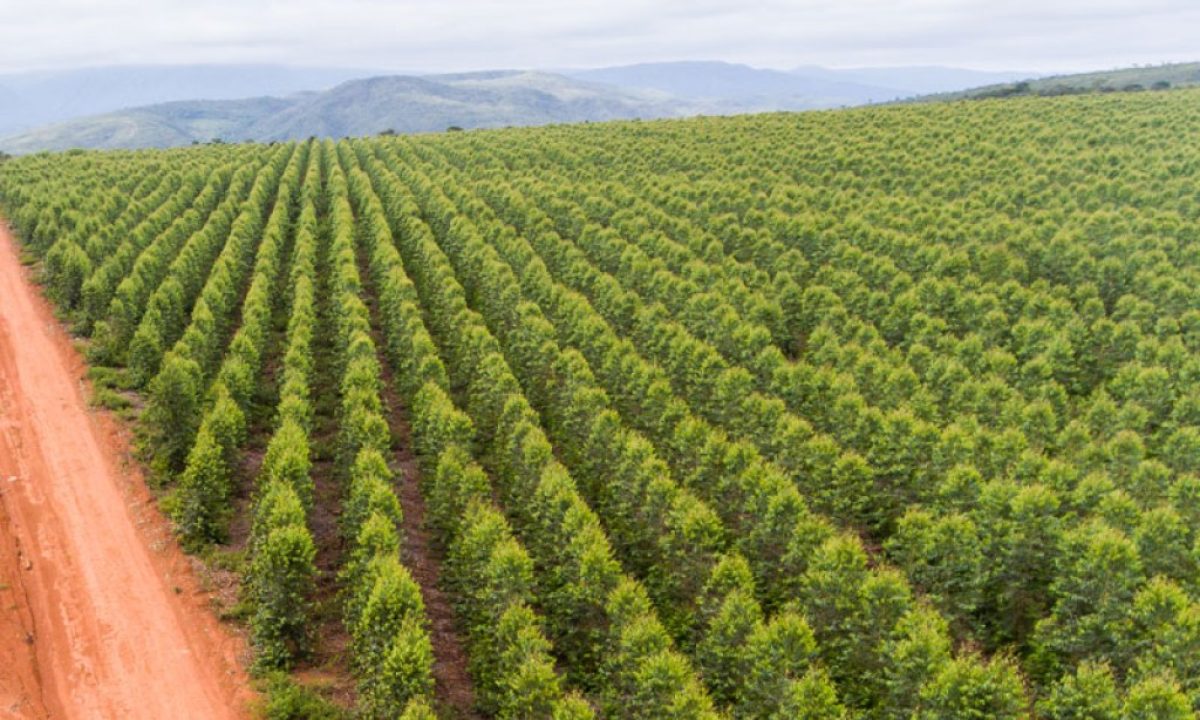 7c54956d5bb5f70c4bc4663a4de34b51