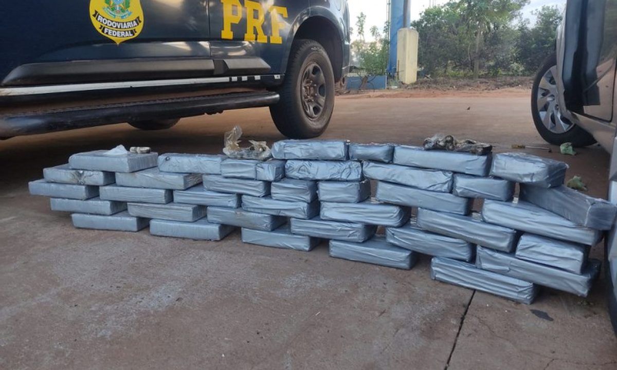 7d0e3587-4e0c-4dd5-bf56-7d32fbf346a7