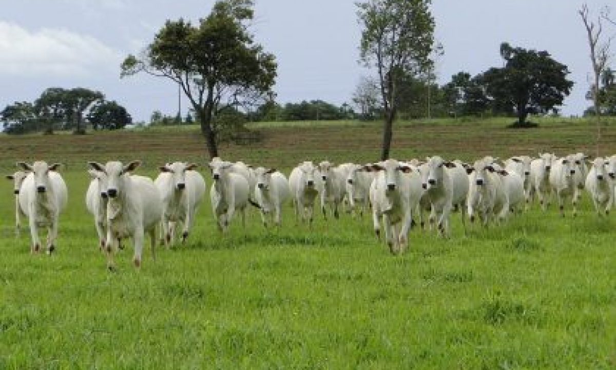 800A9FF4-476C-4327-AC17-E65740F8CA32