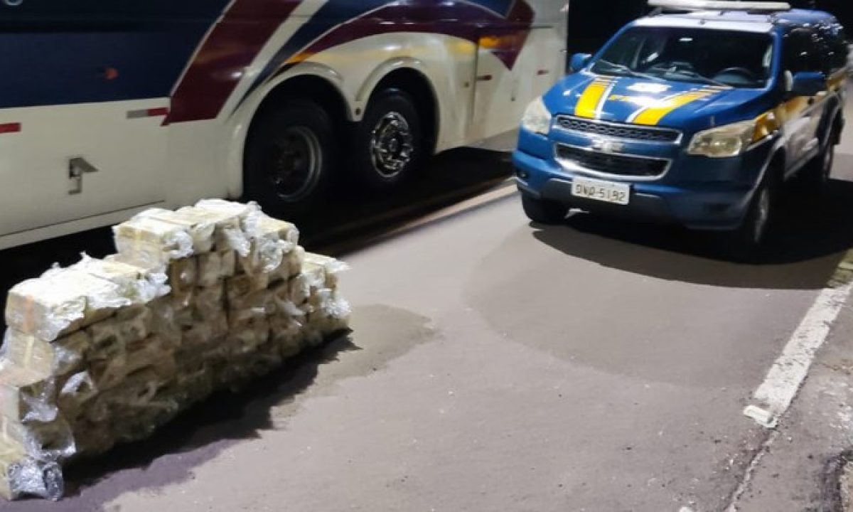 817cdacc-1dca-4081-b7ef-6e4491039dc9