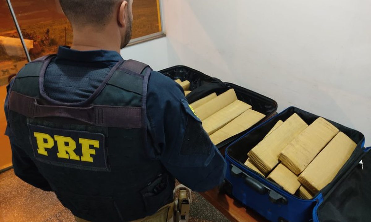 8736631b-70f9-4030-b0d4-efe8831535c8