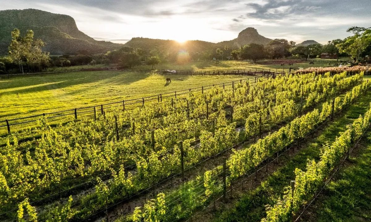 8cf9cfa7-6551-4927-bc5d-b579aaccadf2