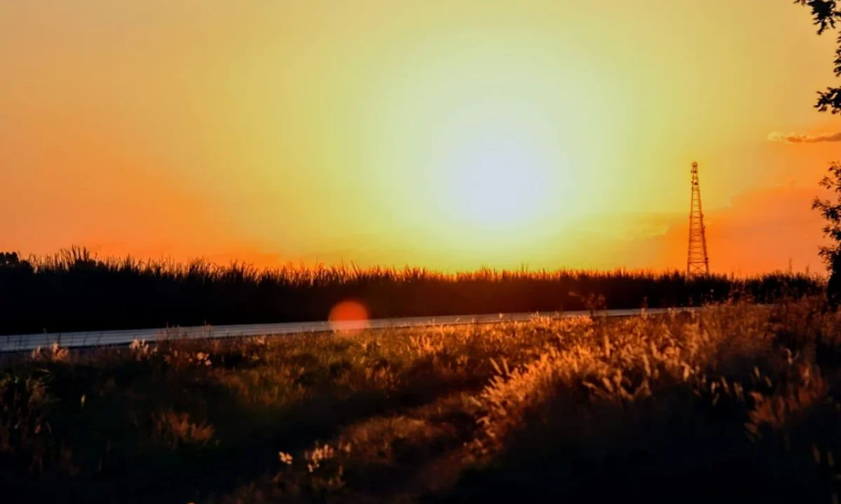 8e22a4d9d962e6fdd50c2d3534593dc8