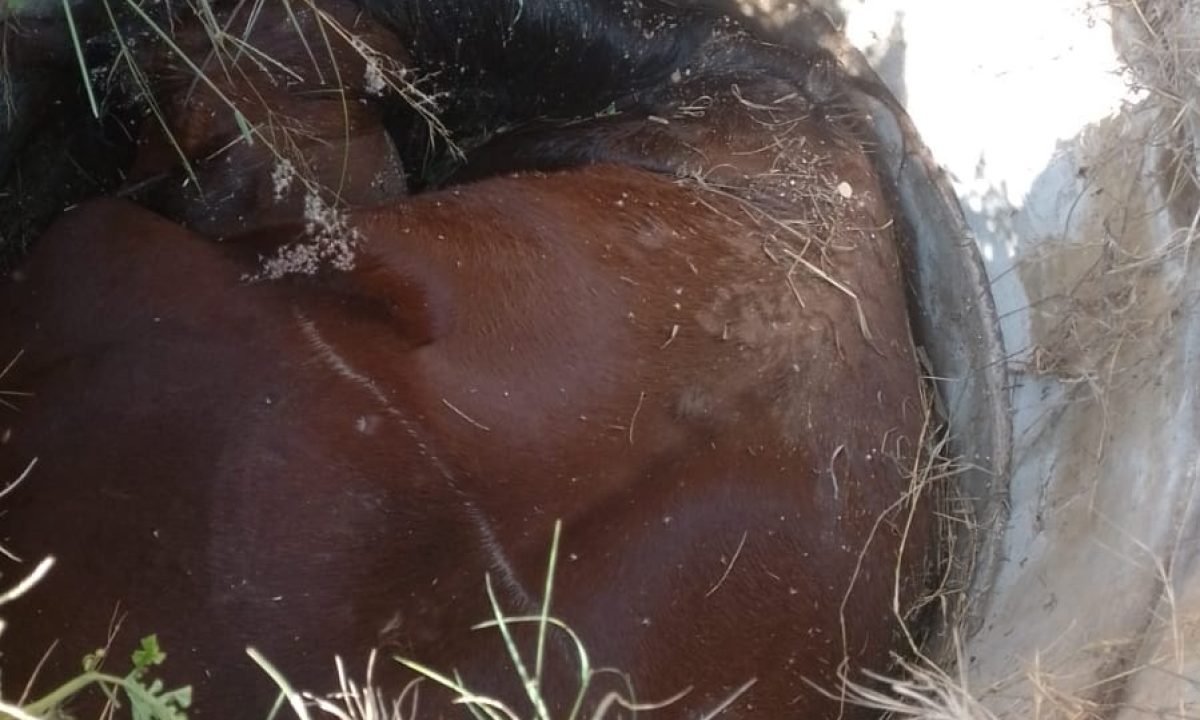 9245CDA8-0EF6-4715-8730-BBD31164BE87