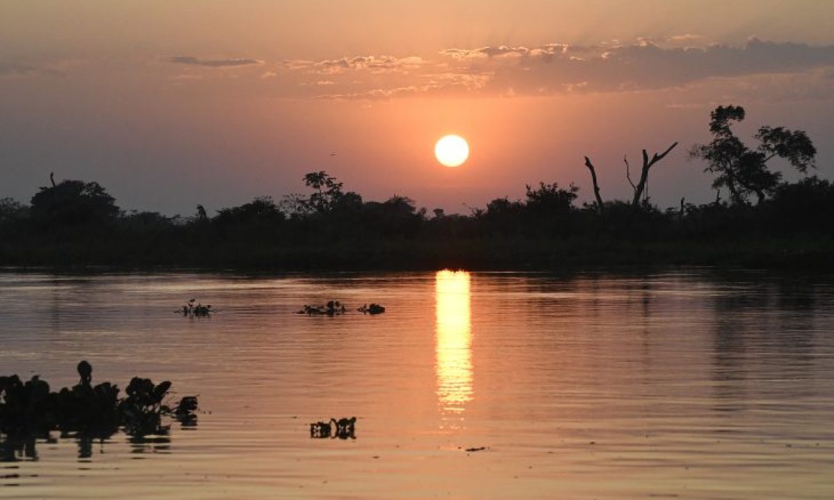 9A0B416B-C5A7-41BC-BFB9-4D52B1862037