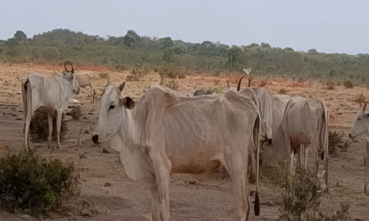 9d4d6ad9-8092-4c58-adea-91f7d5122c61