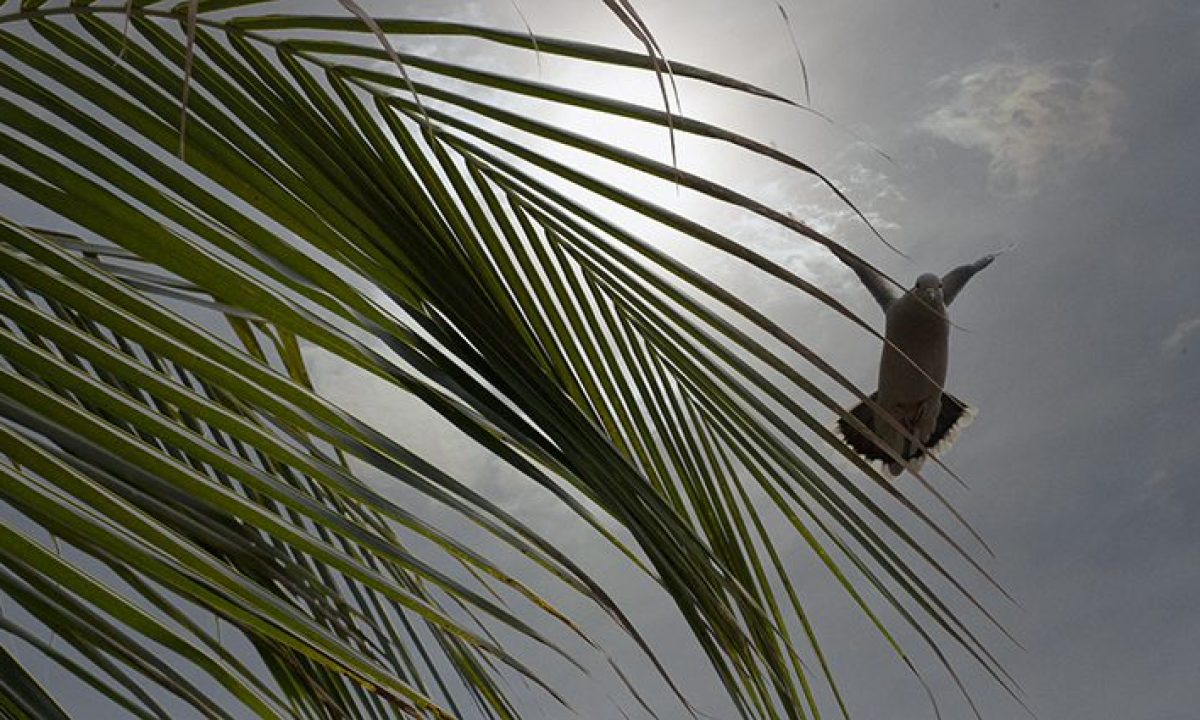 A34375F9-FC16-44F2-BBF1-EA99FCFB1CB9