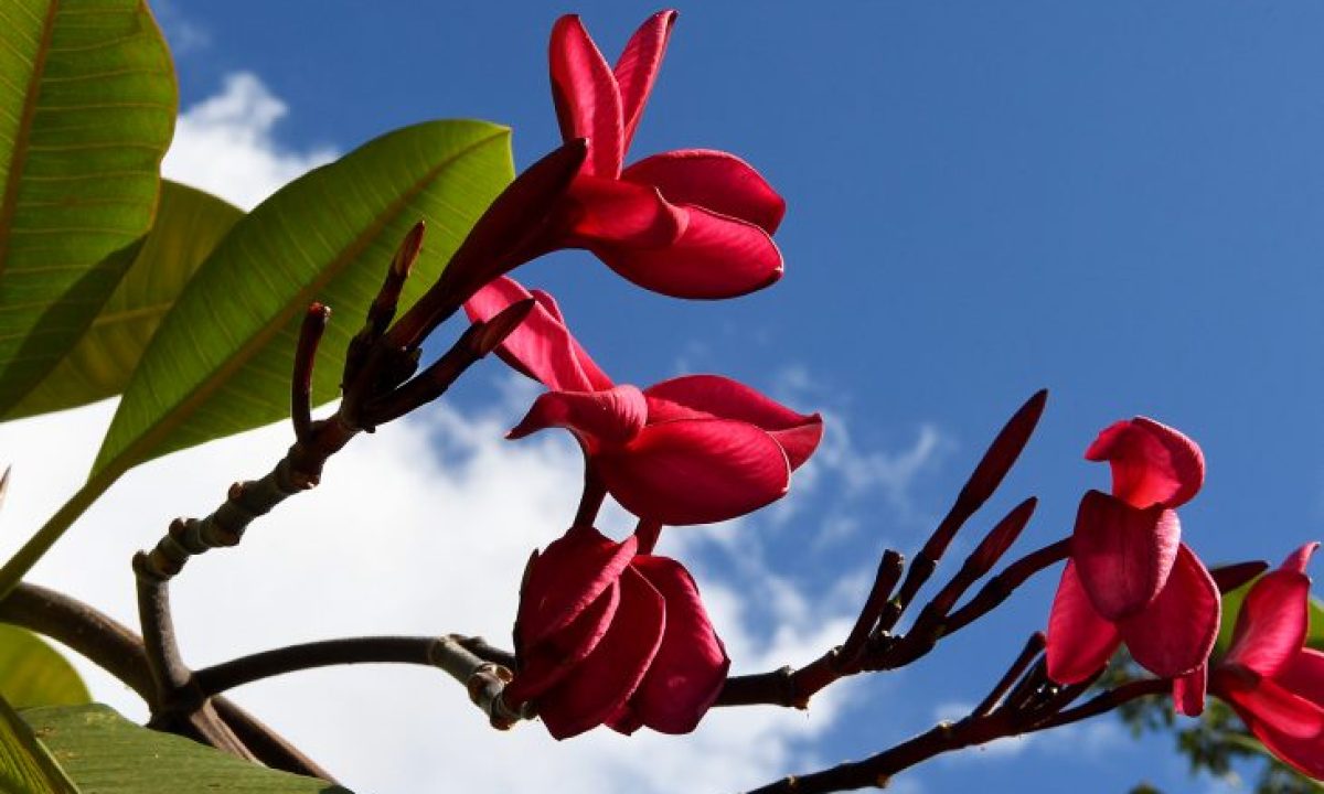 A48A827E-B3DB-476D-AB68-AB44239EC1AE