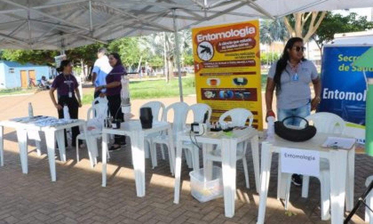 Acao-contra-dengue-8-scaled-420x280_c