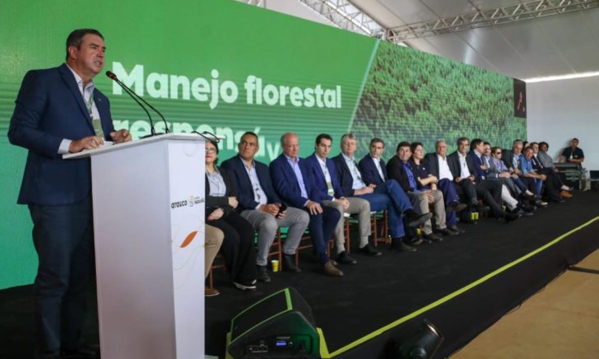 Arauco-Foto-Saul-Schramm4-730x480