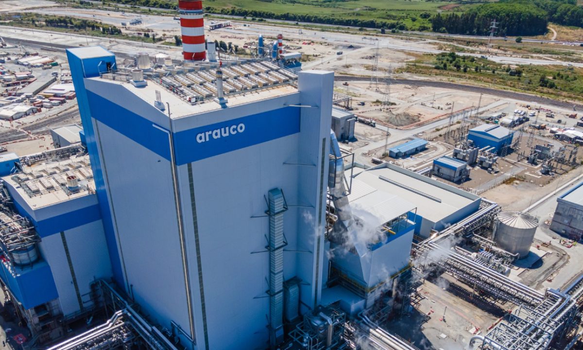 Arauco-apresenta-avancos-para-construcao-de-nova-fabrica-no-em-Inocencia-MS