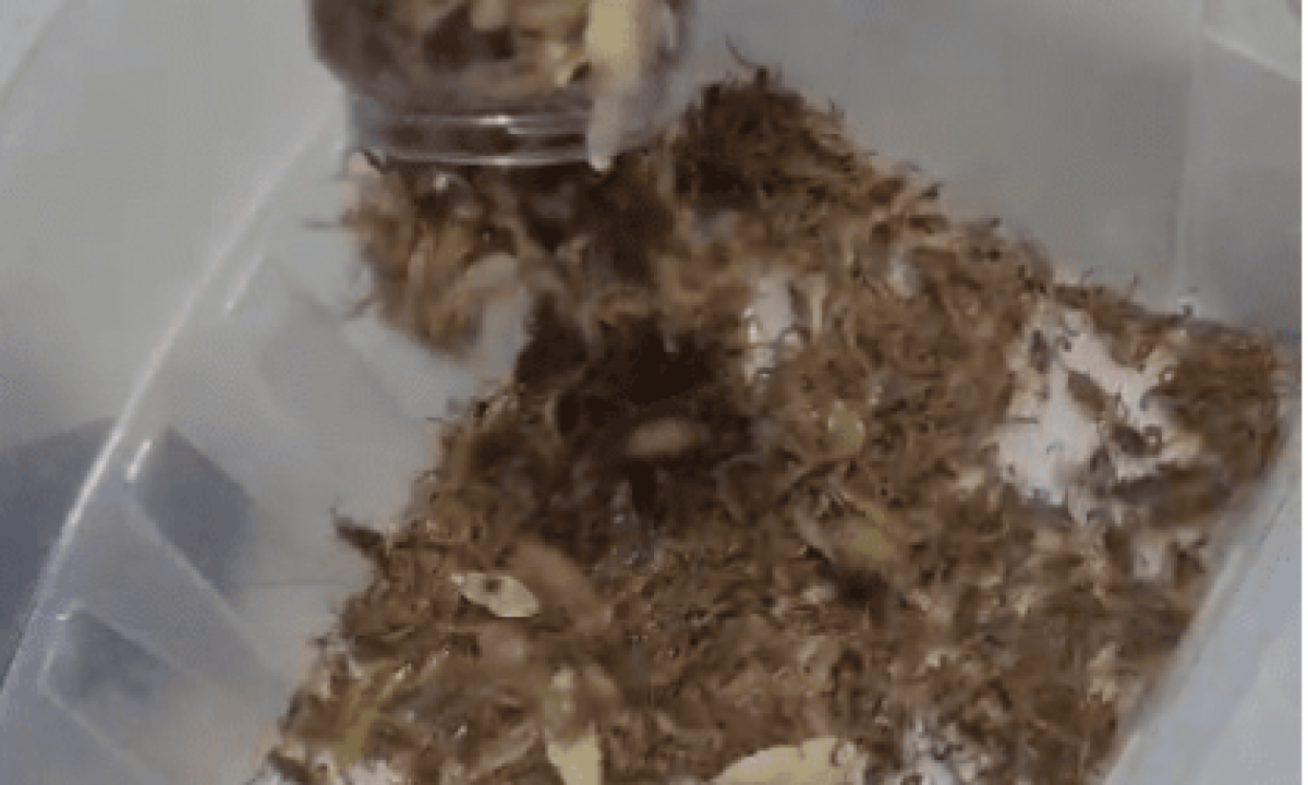 BBF095D1-F82B-4CA0-A923-B32582950BB0