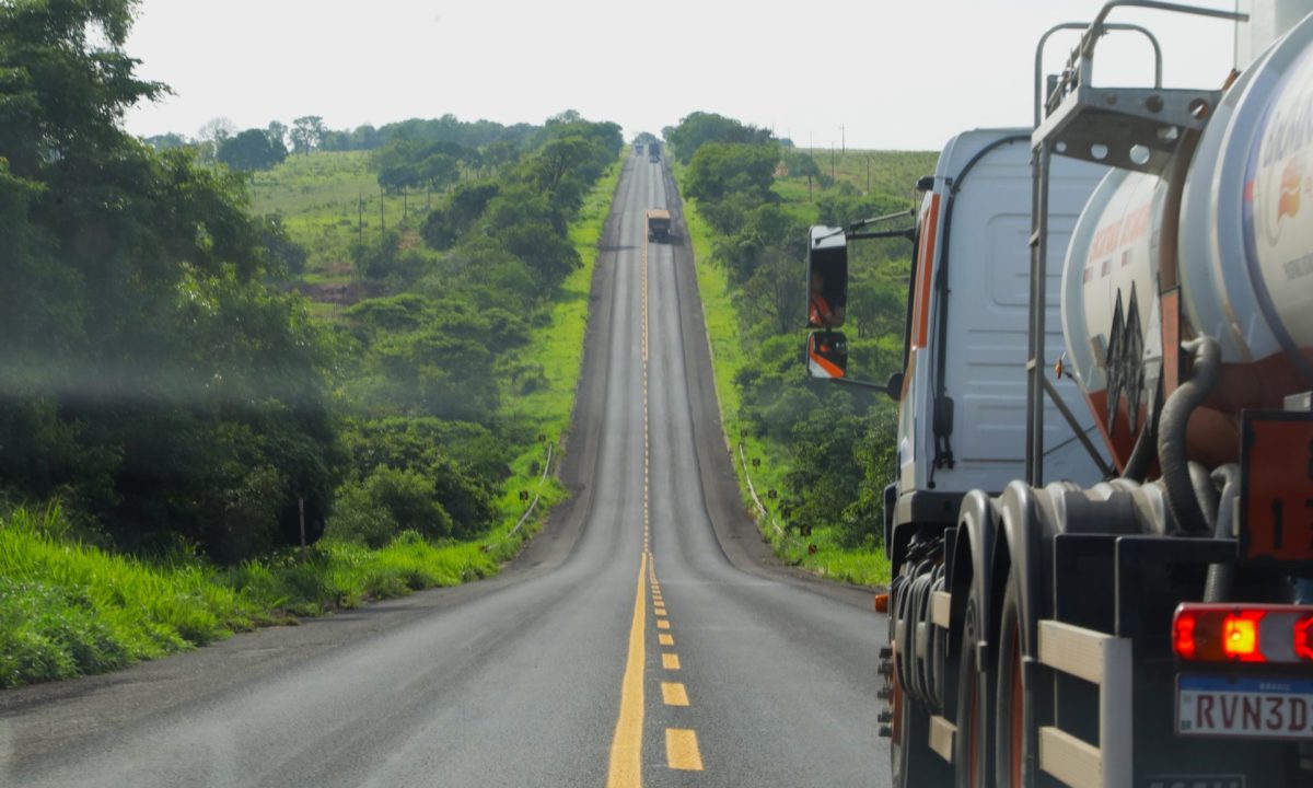 BR-262-Foto-Saul-Schramm-3-scaled