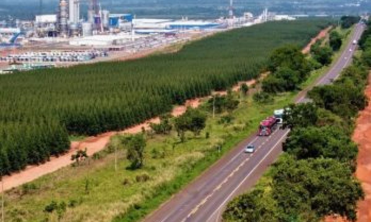 BR-262-Foto-Saul-Schramm-33-730x480-1-348x261