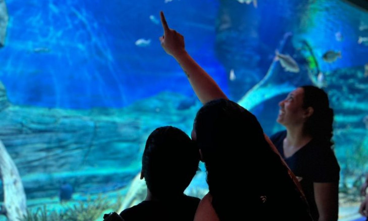 Bioparque-Pantanal-1-730x480