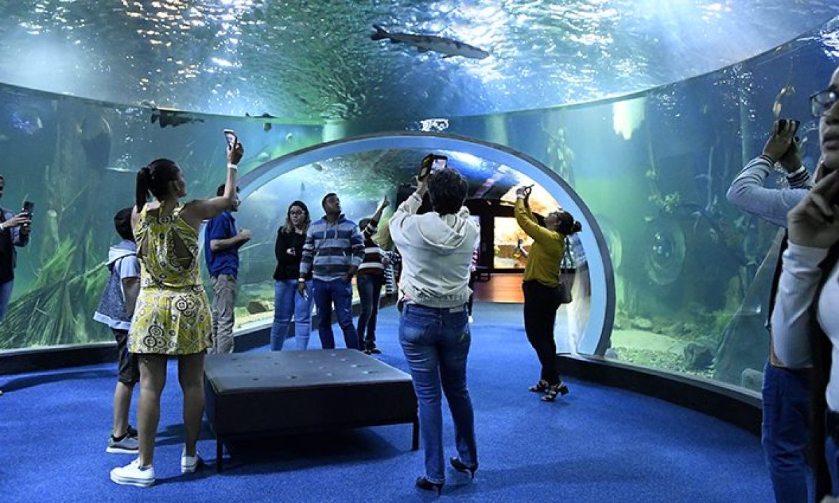 Bioparque-Pantanal-Fto-Bruno-Rezende-02-730x425