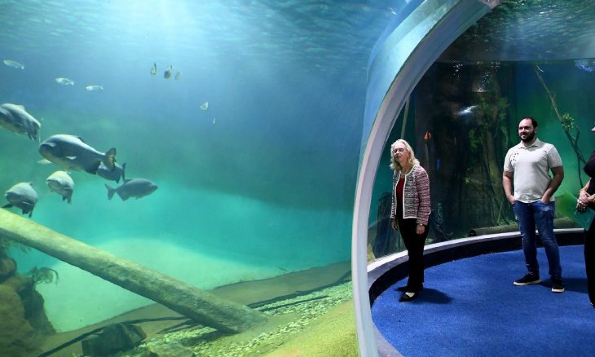 Bioparque-Pantanal-Visita-da-embaixadora-Jennifer-May-Fto-Bruno-Rezende-05-730x480