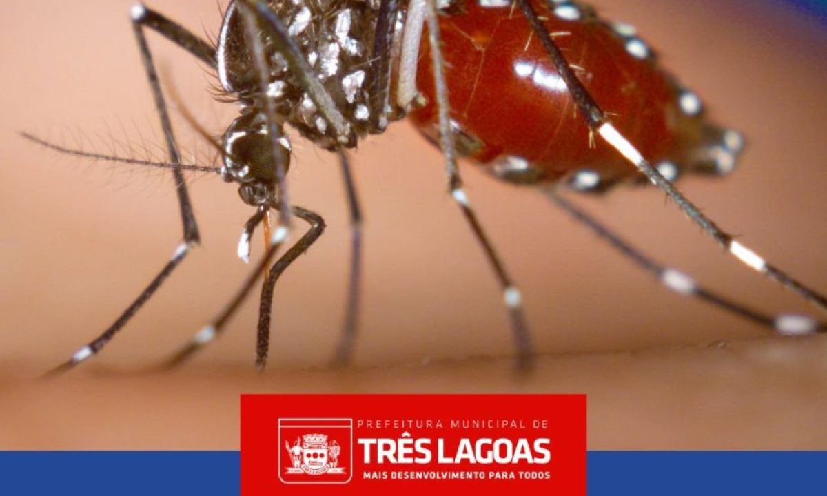 CAPA-BOLETIM-DENGUE-E-LEISHMANIOSE-scaled