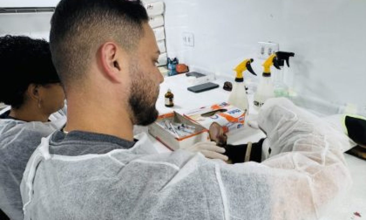 CASTRACAO-12-09-12-scaled-420x280_c