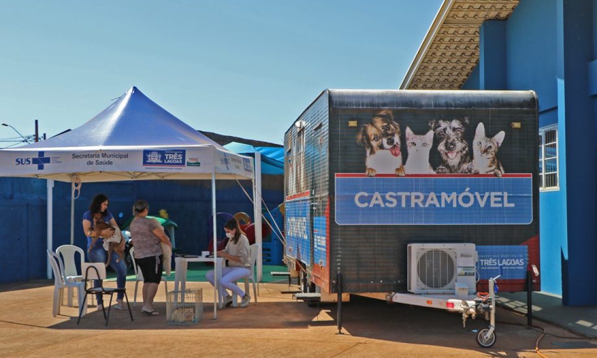 CASTRAMOVEL-7-scaled-3