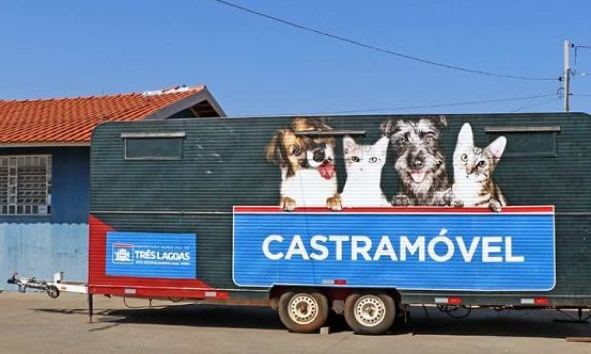 CASTRAMOVEL-MORUMBI-20-09JPGE-2-scaled-e1696261147867