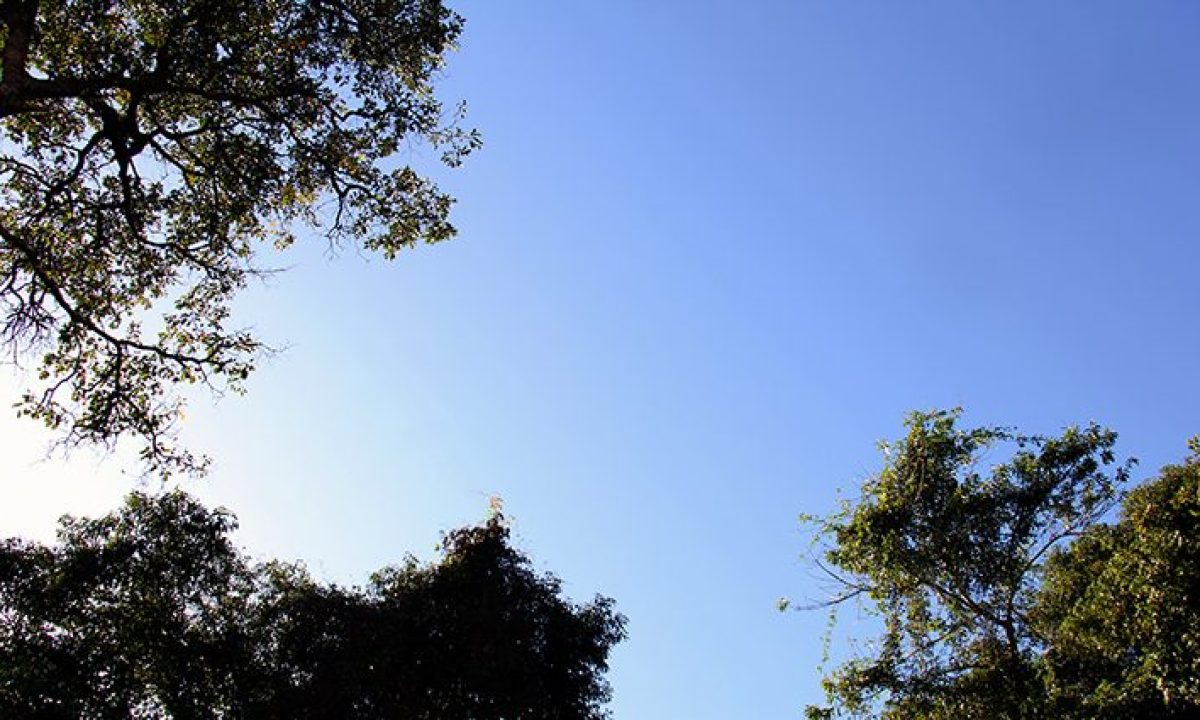 CE24BAEF-8711-433C-91CE-924556A55D43