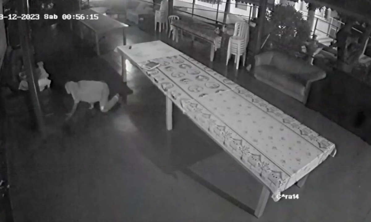 Captura de Tela 2023-08-15 às 08.05.38