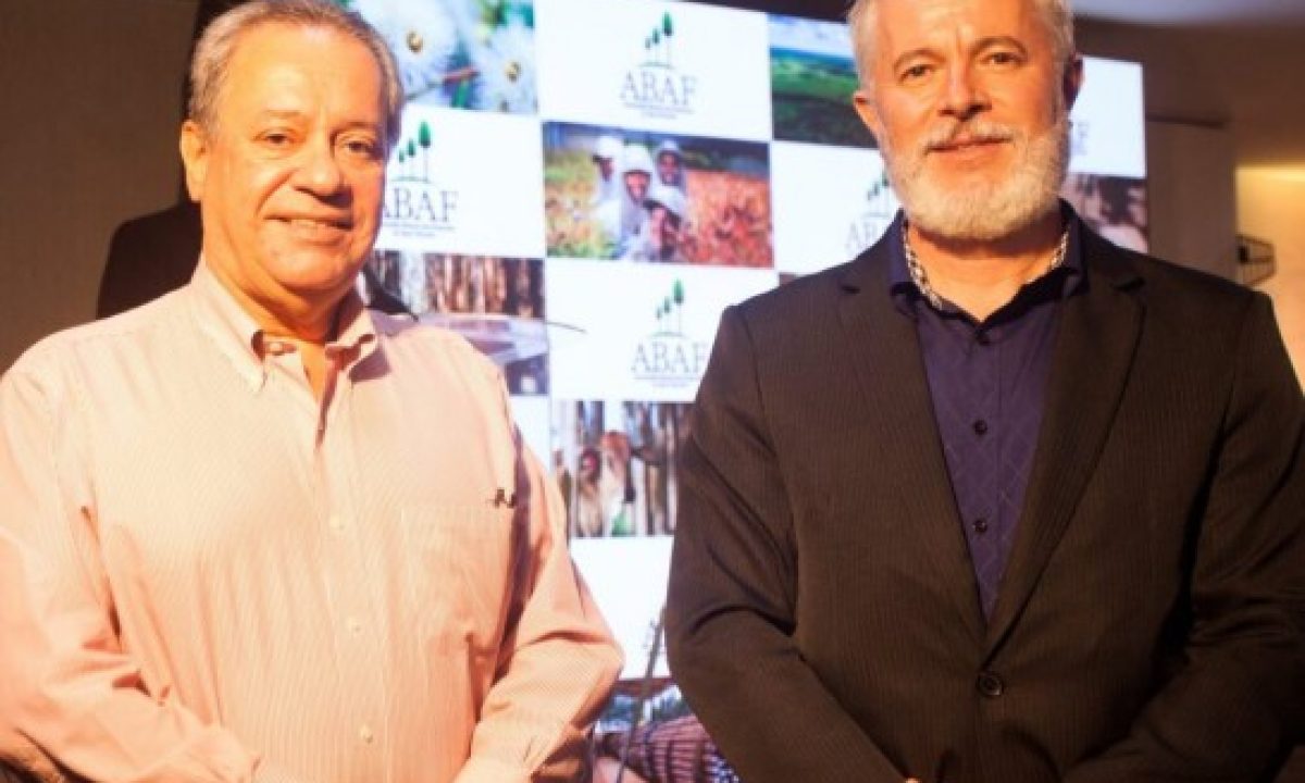 Captura-de-tela-2022-08-25-164617