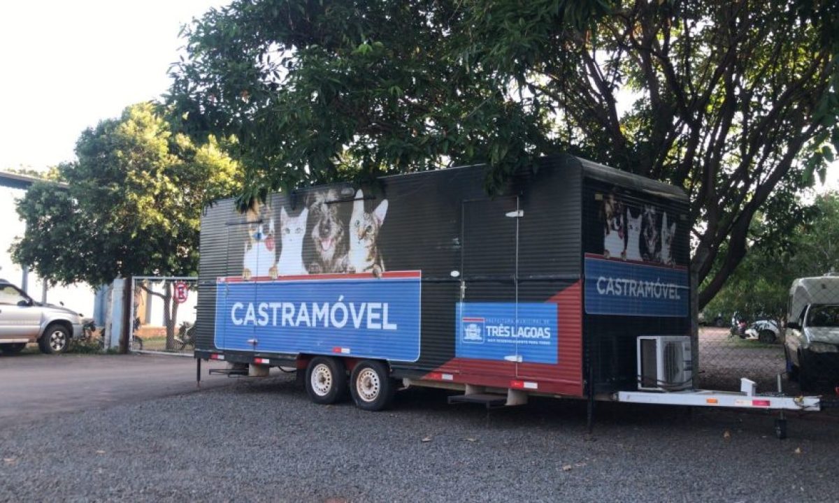 Castramovel-Almoxarifado-scaled