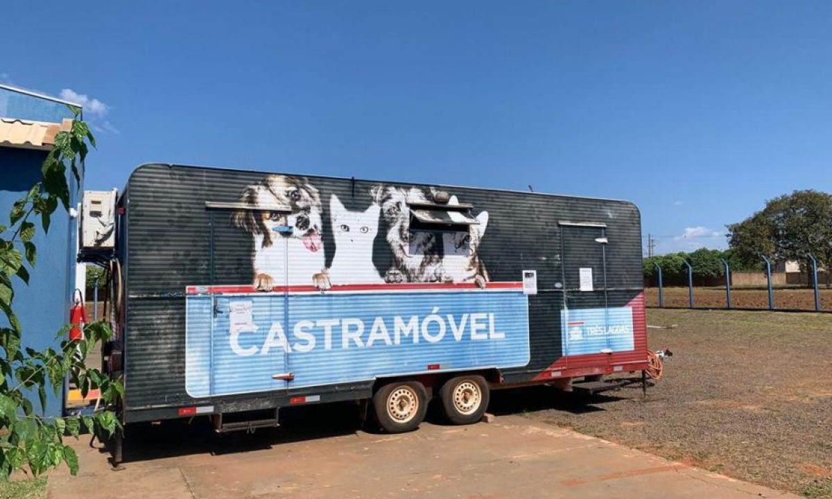 Castramovel-Chacara-Eldorado-scaled