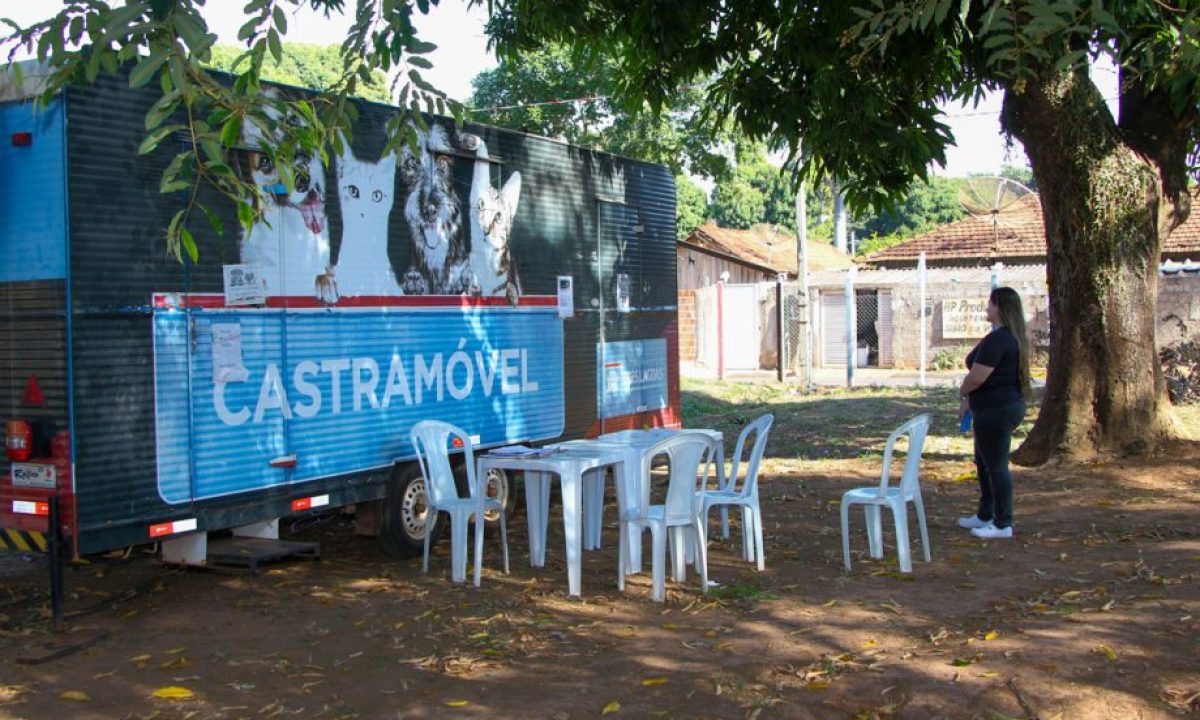 Castramovel-NOB-5-scaled-2