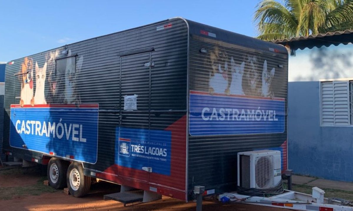 Castramovel-SMS-scaled