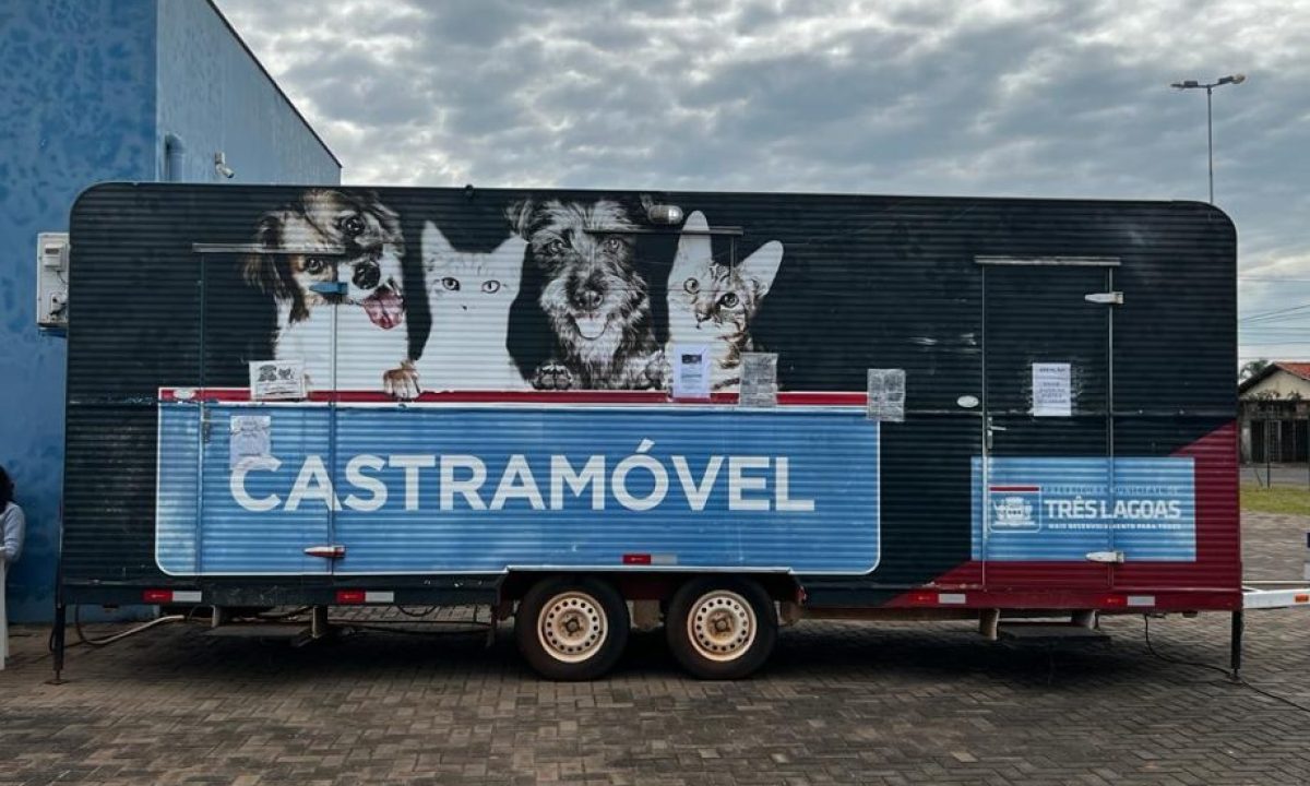 Castramovel-scaled-3