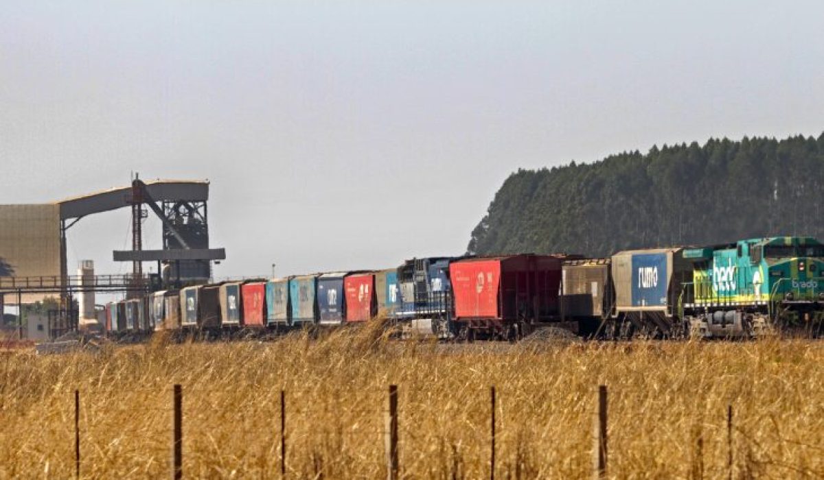 Chapadao-do-Sul-Ferrovia-Foto-Saul-Schramm-730x480 (1)