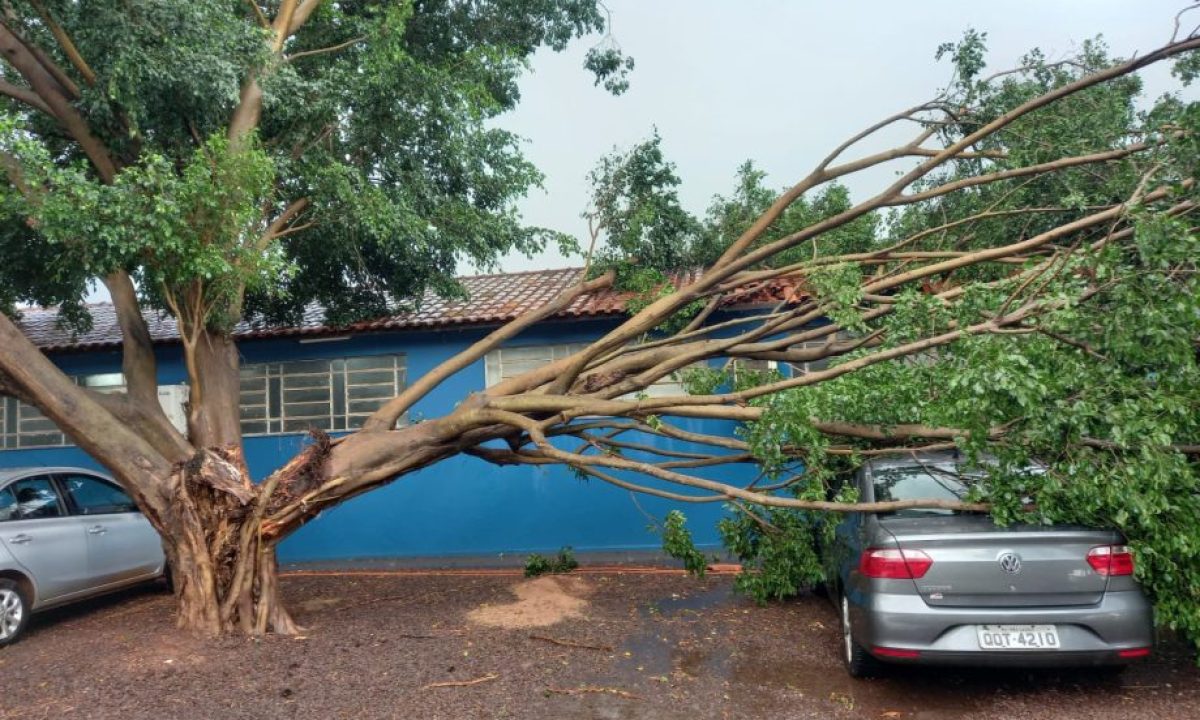 Chuva-27-10-Escola-Municipal-Rodrigues-Montalvao-scaled