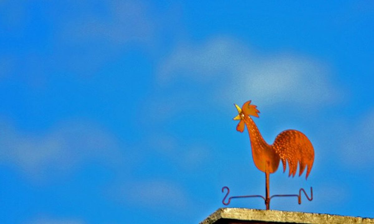 Clima-tempo-Foto-SaulSchramm-7-730x425