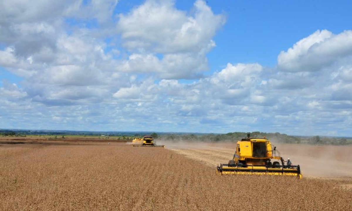 Colheita-de-soja-Foto-Alvaro-Rezende-2-730x480
