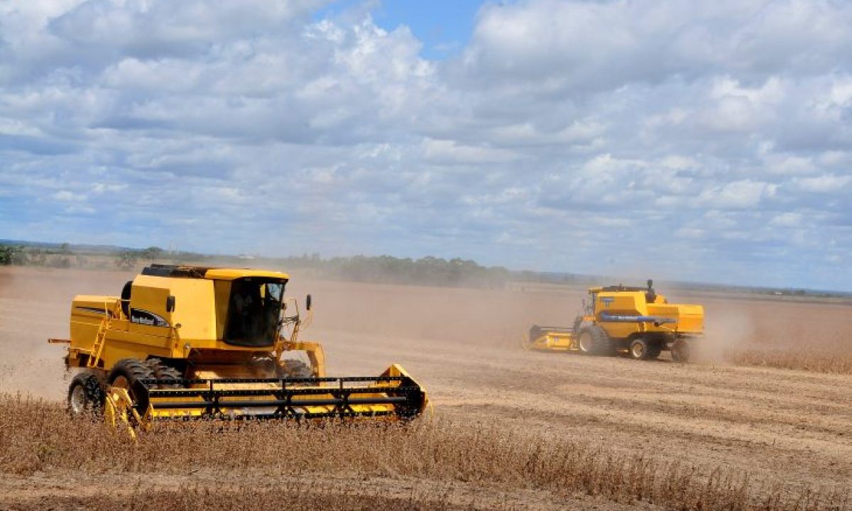 Colheita-de-soja-Foto-Alvaro-Rezende-730x480