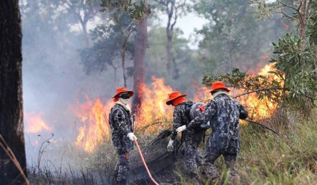 Combate-FN-e-CBM-MS-Foto-Saul-Schramm-3-730x480