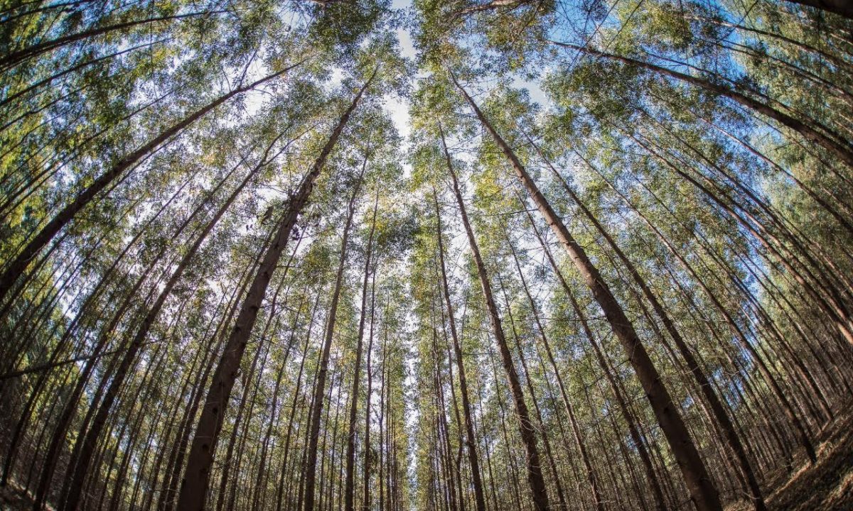 D6CE20CE-0423-4E1A-A9C4-A68EFFE27C0A