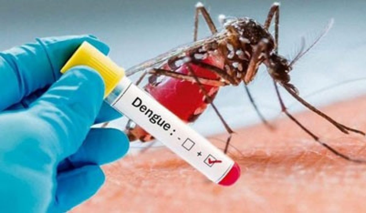 DENGUE-2