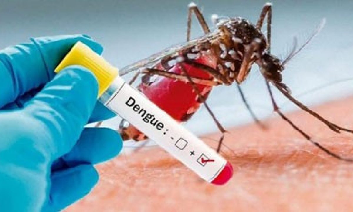 DENGUE-3