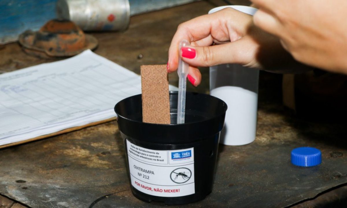 DENGUE-31-05-9-scaled