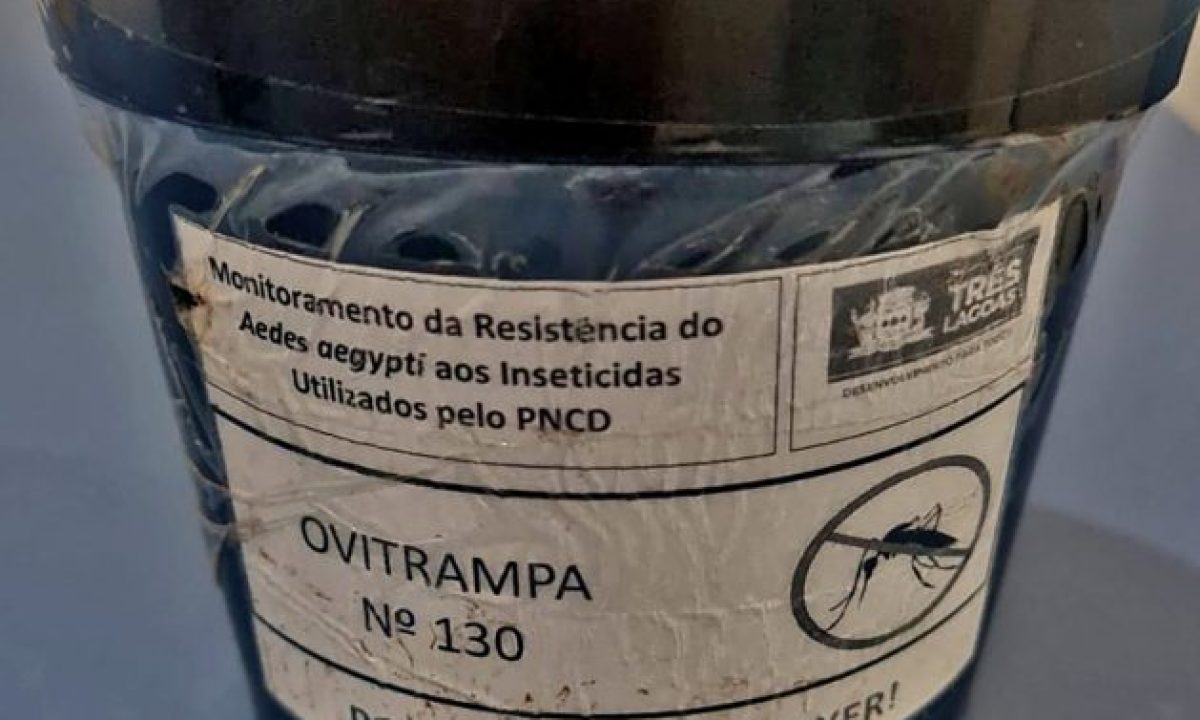 DENGUE-OVITRAMPAS-5-scaled